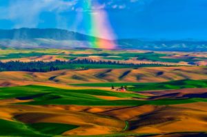 palouse